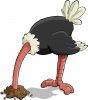 Ostrich-with-head-in-sand-illustration.jpg