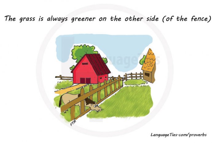033-The-grass-is-always-greener-on-the-other-side-of-the-fence.jpg