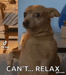 1000007014.gif