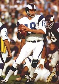 Roman Gabriel Interview