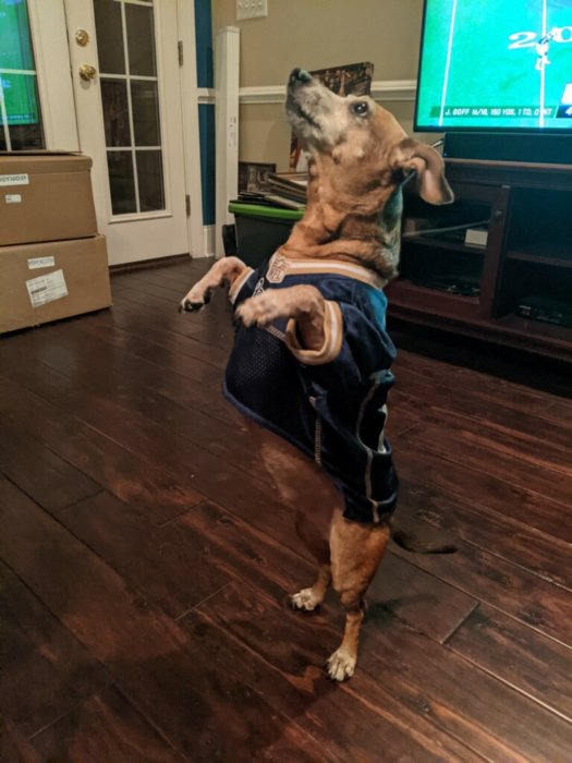 1610847241634.jpeg