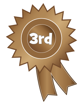 3rd-place-rosette-clipart-large-png.27479
