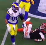 Aaron_Donald_GAMEWINNING_PRESSURE_TO_WI_cropped (1).gif