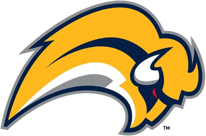 buffalo_sabres_logo_primary_20077780.webp