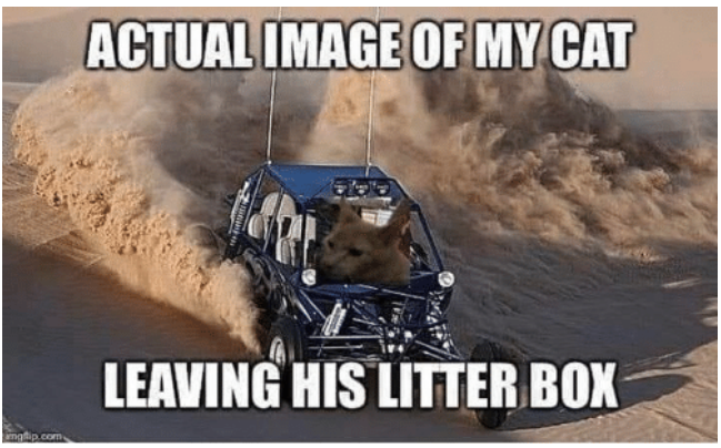 Cat Leaving Litterbox.png