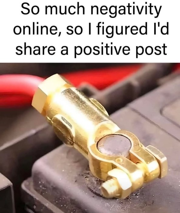 FB_IMG_1744666101848.jpg