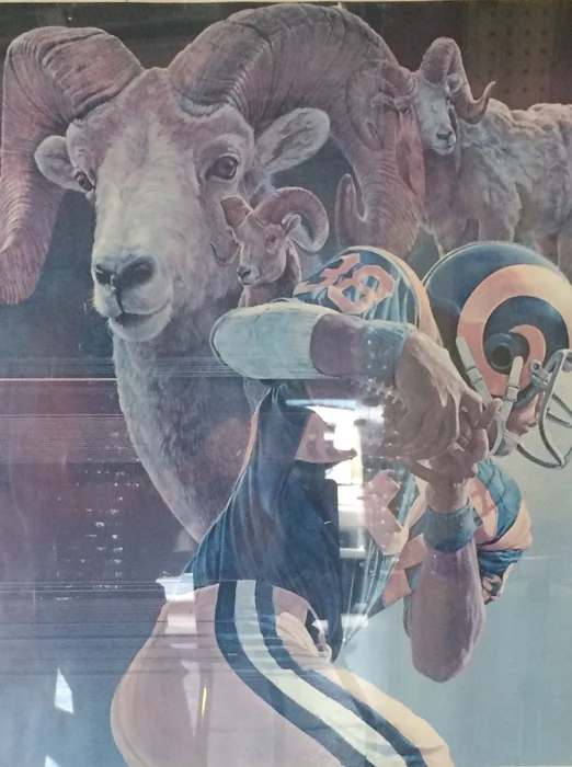 FullSizeRender (7).webp