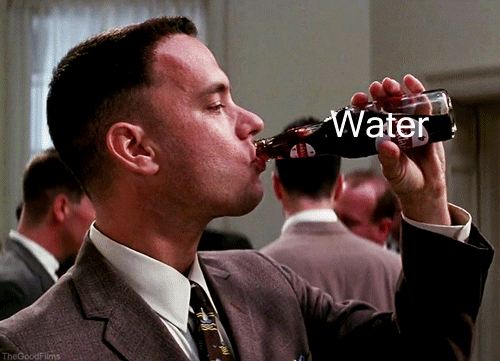 gump2.gif