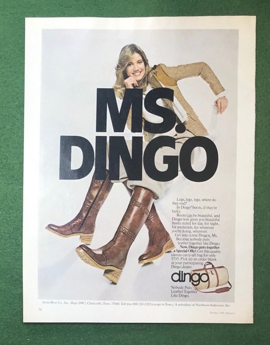 MS Dingo ad.jpg