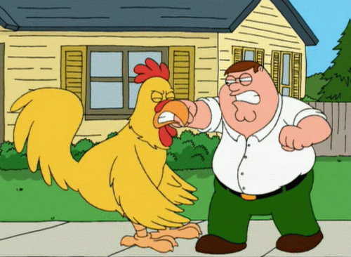 Peter_Griffin_And_The_Chicken.jpg
