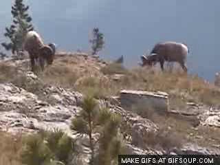 ram-headbutt-o.gif