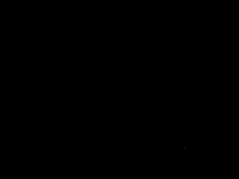 tenor (7).gif